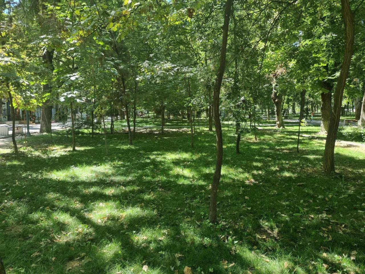 טשקנט City Center Apartment 1 מראה חיצוני תמונה