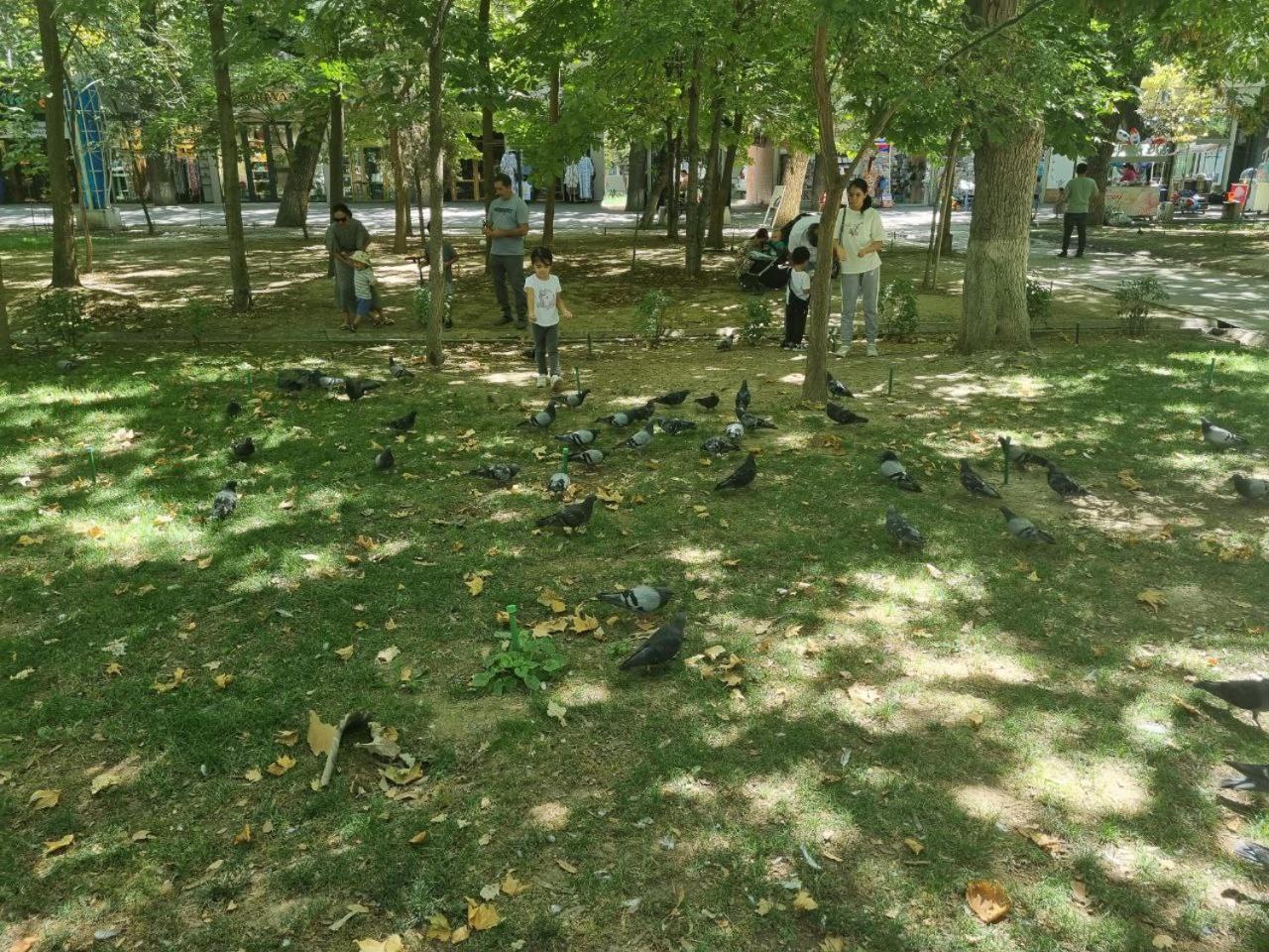 טשקנט City Center Apartment 1 מראה חיצוני תמונה